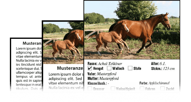 Akupunktur für pferde - Alle Favoriten unter der Vielzahl an Akupunktur für pferde!