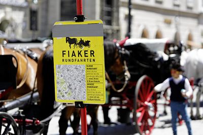 AUT Wien Vienna 05 06 2014 Fiaker Wien ist die Bundeshauptstadt von Österreich und zugleich ei AUT, Wien, Vienna, 05.06.2014 - Fiaker. Wien ist die Bundeshauptstadt von Österreich und zugleich eines der neun österreichischen Laender. Wien gilt als Stadt mit hoher Lebensqualitaet. Eine Studie der UNO sah Wien 2012 als wohlhabendste Stadt der Welt. Â AUT Vienna Vienna 05 06 2014 Fiacre Vienna is the Swiss capital from Austria and at the same time a the nine Austrian Countries Vienna is as City with high Quality of life a Study the UN Sah Vienna 2012 as City the World