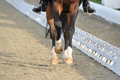 2014-10-04_opt Bildnummer: 10543418 Datum: 26.04.2012 Copyright: imago/M&K Jungpferde-Grand Prix, Qualifikation zum Luidors-Preis, Horses and Dreams meets Great Britain in Hagen aTW Pferdehufe; Pferdesport Dressur Reiten Hagen am Teutoburger Wald a T W Symbolfoto xdp x2x 2012 quer Dressur Dressurreiten Hufe Dressurpferde o0 Detail Huf Hufe Pferd Pferde Bein Beine Pferdebein Pferdebeine Galopp Körperteil Image number 10543418 date 26 04 2012 Copyright imago M&K Grand Prix Qualification to Prize Horses and Dreams meets Great Britain in Hagen ATW Horse hooves Equestrian sports Dressage riding Hagen at Teutoburg Forest A T w Symbolic image x2x 2012 horizontal Dressage Dressage Hooves Dressage horses o0 Detail Hoof Hooves Horse Horses Leg Legs Horse leg Horse legs Gallop Part of the body