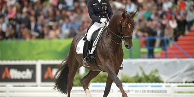 Aug 27 2014 Helen Langehanenberg from Germany riding Damon Hill NRW during the Dressage Grand P Aug. 27, 2014 - Helen Langehanenberg from Germany riding Damon Hill NRW, during the Dressage Grand Prix Special Individual Competition at the Alltech FEI World Equestrian Games 2014 held at the Stade d Ornano in Caen, Normandy, France. Wednesday, 27th August 2014. Photographer: Artur Widak / Nur Photo UK Charlotte DUJARDIN wins GOLD in the Dressage Grand Prix Special in AllTech FEI World equestrian Games 2014 PUBLICATIONxINxGERxSUIxAUTxONLY - ZUMAn23 Aug 27 2014 Helen Langehanenberg From Germany riding Damon Hill NRW during The Dressage Grand Prix Special Individual Competition AT The Alltech Fei World Equestrian Games 2014 Hero AT The Stade D Ornano in Caen Normandy France Wednesday 27th August 2014 Photographer Artur only Photo UK Charlotte Dujardin Wins Gold in The Dressage Grand Prix Special in Alltech Fei World Equestrian Games 2014 PUBLICATIONxINxGERxSUIxAUTxONLY