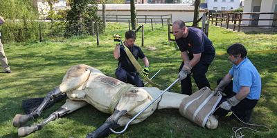 Animal Rescue_opt Animal Rescue mit Christoph Peterbauer, Pferdeklinik Burg Mueggenhausen, 21.04.2015. Animal Rescue mit Christoph Peterbauer, Pferdeklinik Burg Mueggenhausen, 21.04.2015. Photo: Gettyimages/Jürgen Schwarz