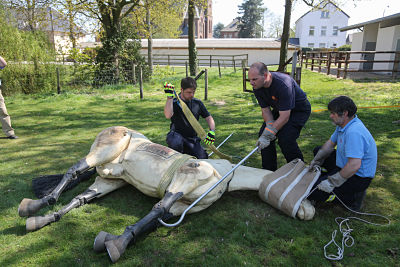 Animal Rescue_opt Animal Rescue mit Christoph Peterbauer, Pferdeklinik Burg Mueggenhausen, 21.04.2015. Animal Rescue mit Christoph Peterbauer, Pferdeklinik Burg Mueggenhausen, 21.04.2015. Photo: Gettyimages/Jürgen Schwarz