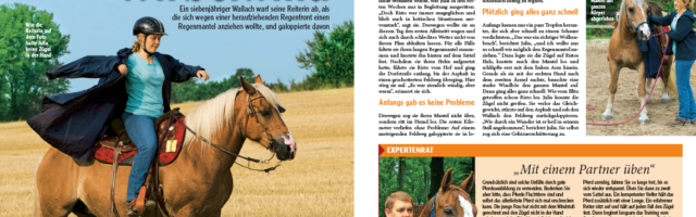 Bild42.png - 