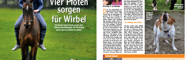 Bild61.png - 