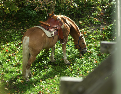 Bildschirmfoto 2015-01-27 um 09_opt 