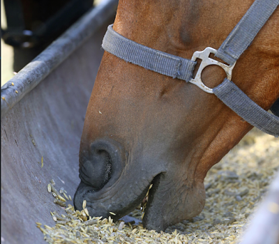 Bildschirmfoto 2015-09-22 um 14_opt 