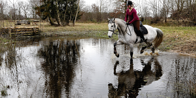 Bildschirmfoto 2016-03-29 um 15_opt 