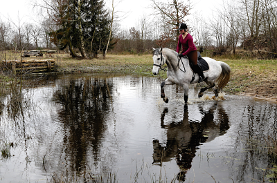 Bildschirmfoto 2016-03-29 um 15_opt 