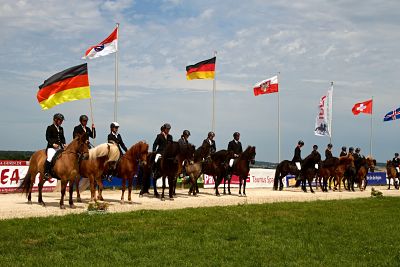 DIM2014_Parade1_opt 