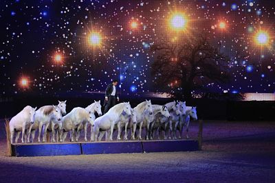 HOP TOP Show FESTIVALLO 2013; Schaubild 