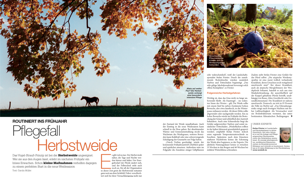 Herbstweide.png - 