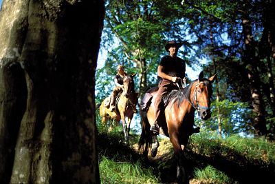 IMAGO-Eisend_Alpenstafette_opt Bildnummer: 50053258 Datum: 15.08.2000 Copyright: imago/Eisend Reiter im Wald, Personen , Tiere; 2000, Böhmerwald, Wanderreiten, Reiten, Reiter, Pferde, Pferd, Freizeit, Aktivitäten, Urlaub, Reiterurlaub, Reiturlaub, Reiterferien; , quer, Kbdia, Totale, Reise, Westerncamp, Western-Camp, Fotostory, Tschechien, Europa; Aufnahmedatum geschätzt