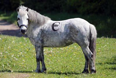 IMAGO-Frank Sorge_Pferdesteuer_opt Bildnummer: 59733565 Datum: 16.05.2013 Copyright: imago/Frank Sorge 16.05.2013, Koenigs Wusterhausen, Brandenburg, GER - Shetlandpony mit Euro-Zeichen auf dem Ruecken. (Pony, Shetlandpony, Haltung, Pferdehaltung, Weide, Koppel, Offenstallhaltung, Steuer, Pferdesteuer, Symbol, Symbolik, symbolisch, Symbolfoto, Freisteller, Aufwandssteuer, Reitabgabe, Zeichen, Euro, Eurozeichen, Euro-Zeichen, Euro-Logo, Euro-Symbol, Finanzierung, Logo, Waehrung, Wirtschaft, teuer, kostspielig, Pferdehaltungskosten, Unterhalt, Unterhaltskosten, Kosten, Anschaffungskosten, Ware, Kauf, Verkauf, Pferdehaftpflichtversicherung, Währung, Königs Wusterhausen) 157D160513PFERDEHOF.JPG Gesellschaft Tiere Galopp Fotostory xas x0x 2013 quer Pony Shetlandpony Haltung Pferdehaltung Weide Koppel Offenstallhaltung Steuer Pferdesteuer Symbol Symbolik symbolisch Symbolfoto Freisteller Aufwandssteuer Reitabgabe Zeichen Euro Eurozeichen Euro-Zeichen Euro-Logo Euro-Symbol Finanzierung Logo Waehrung Wirtschaft teuer kostspielig Pferdehaltungskosten Unterhalt Unterhaltskosten Kosten Anschaffungskosten Ware Kauf Verkauf Pferdehaftpflichtversicherung 59733565 Date 16 05 2013 Copyright Imago Frank Worry 16 05 2013 Koenigs Wusterhausen Brandenburg ger Shetland pony with Euro Sign on the Back Pony Shetland pony Attitude Horse stance Pasture Koppel Tax symbol Symbolism symbolic Symbolic image cut out Sign Euro Euro symbol Euro Sign Euro emblem Euro symbol Financing emblem Currency Economy expensive costly Maintenance Maintenance costs Costs Acquisition costs Goods Purchase Sale Currency King Wusterhausen JPG Society Animals Gallop Photo Story x0x 2013 horizontal Pony Shetland pony Attitude Horse stance Pasture Koppel Tax symbol Symbolism symbolic Symbolic image cut out Sign Euro Euro symbol Euro Sign Euro emblem Euro symbol Financing emblem Currency Economy expensive costly Maintenance Maintenance costs Costs Acquisition costs Goods Purchase Sale