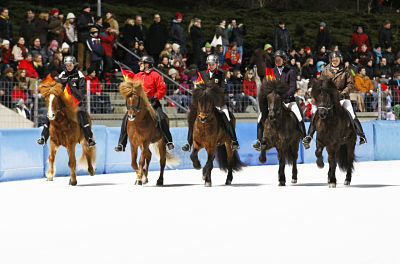 IceHorse2010_3_opt 