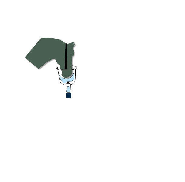 MPXX14_XX-XX_GrafikPferdeinhalationsgeraet 