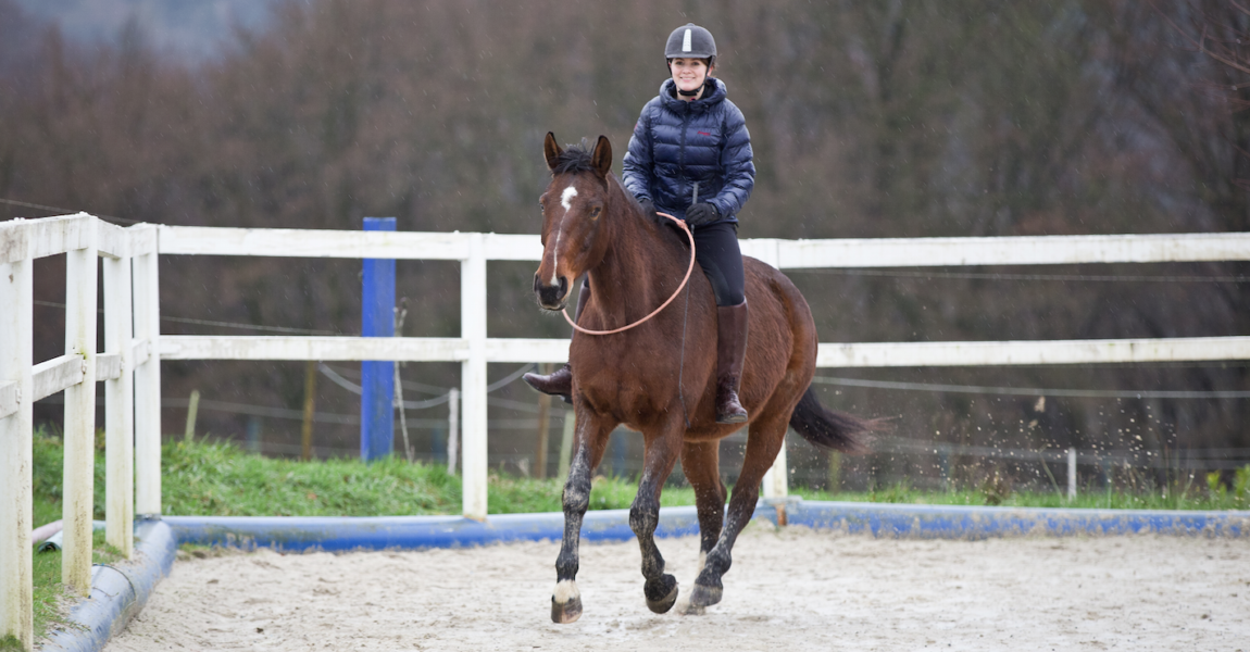 Mein Pferd Guetesiegel_Reitring Seilerei Brockamp_Daniel Elke RFW Freies Reiten nur mit Reitring schult die Kommunikation zwischen Pferd und Reiter (Foto: Daniel Elke/RFW). 