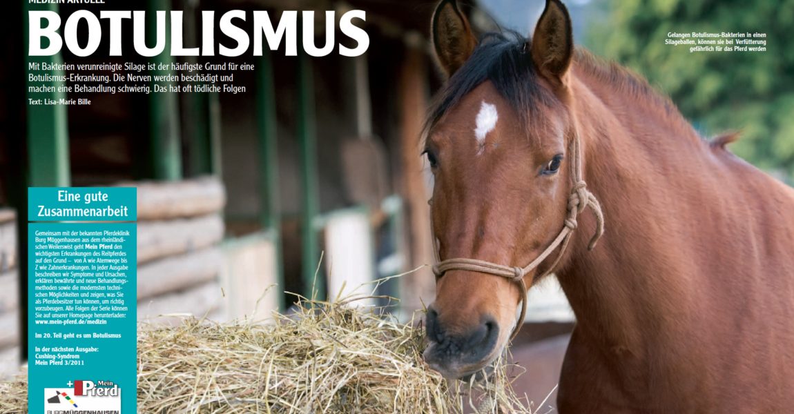 Botulismus Pferd Symptome