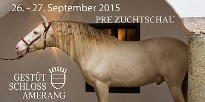 PREZuchtschauSchlossAmerang26und27Sep2015_opt 