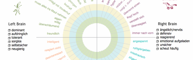 Parelli Chart 