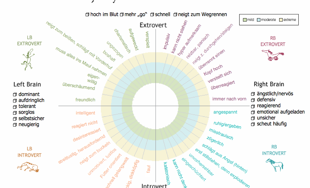 Horsenality Chart