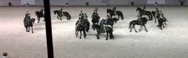 Die Ostsee-Quadrille mit 16 Friesen zur “Pferd & Sinfonie” CHIO Aachen 2015 