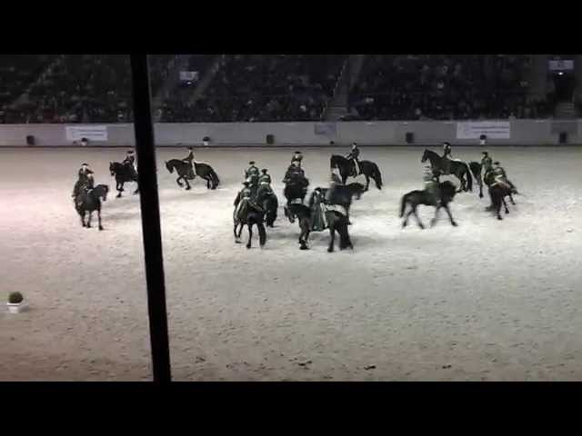 Die Ostsee-Quadrille mit 16 Friesen zur “Pferd & Sinfonie” CHIO Aachen 2015 