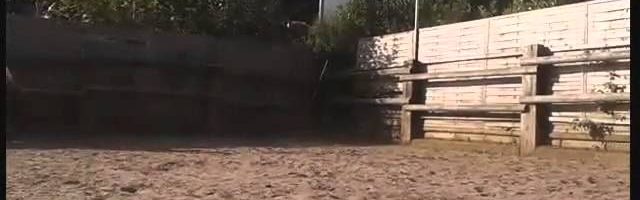 FMA- Reiten - YouTube thumbnail 