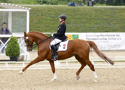 imago10535103h_opt Bildnummer: 10535103 Datum: 07.05.2012 Copyright: imago/Rau Bildnummer: 10535103 Datum: 07.05.2012 Copyright: imago/Rau Mannheim Reitstadion 07.05.2012 Dressur für behinderte Reiter/Para-Equestrian Grade III: Hannelore Brenner (GER) und Women of the World ; Pferdesport Reiten Dressur Dressurreiten Behindertensport Behinderung xns x0x 2012 quer Image number 10535103 date 07 05 2012 Copyright imago Tough Mannheim Reitstadion 07 05 2012 Dressage for disabled Reiter Para Equestrian Grade III Hannelore Burners ger and Women of The World Equestrian sports riding Dressage Dressage Disabled Sports Disability xns x0x 2012 horizontal