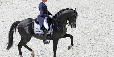 Totilas unter Alexander Matthias Rath GER gewinnt den MEGGLE Preis CHIO Aachen Weltfest des P Totilas unter Alexander Matthias Rath (GER) gewinnt den MEGGLE-Preis, , CHIO Aachen - Weltfest des Pferdesports 2014 (11.-20.7.2014): Dressur MEGGLE-Preis, Grand Prix Special CDIO EP_RRZ Totilas unter Matthias Alexander Rath im Jahr 2014.