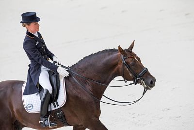 Caen 26 08 2014 Alltech FEI World Equestrian Games Normandie 2014 Pferdesport Dressur Team Caen, 26.08.2014, Alltech FEI World Equestrian Games - Normandie 2014, Pferdesport, Dressur - Team. Helen LANGEHANENBERG (GER) auf Damon Hill NRW. PUBLICATIONxNOTxINxSUIxAUTxLIExITAxFRAxNED Caen 26 08 2014 Alltech Fei World Equestrian Games Normandy 2014 Equestrian sports Dressage team Helen Langehanenberg ger on Damon Hill NRW