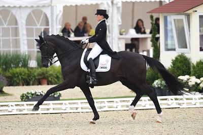 Hagen a T W Deutschland 12 Juli 2015 CDIO 2015 Nationenpreis Hagen a T W Christina Bröring Hagen a.T.W., Deutschland 12. Juli 2015: CDIO 2015 - Nationenpreis - Hagen a.T.W. Christina Bröring-Sprehe (Deutschland) auf Desperados st Hagen a.T.W., Deutschland 12. Juli 2015: CDIO 2015 - Nationenpreis - Hagen a.T.W. Christina Bröring-Sprehe (Deutschland) auf Desperados st Hagen A T w Germany 12 July 2015 CDIO 2015 Nations price Hagen A T w Christina Broering Sprehe Germany on Desperados St