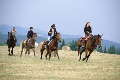 imago50053243h_opt Bildnummer: 50053243 Datum: 15.08.2000 Copyright: imago/Eisend Wanderreiten im Böhmerwald, Personen , Tiere; 2000, Reiten, Reiter, Pferde, Pferd, Freizeit, Aktivitäten, Westernreiten, Westernfans, Urlaub, Reiterurlaub, Reiturlaub, Reiterferien, Cowboys, Reiterin, Reiterinnen, Galopp, galoppieren, galoppierend; , quer, Kbdia, Totale, Reise, Westerncamp, Western-Camp, Fotostory, Tschechien, Europa; Aufnahmedatum geschätzt