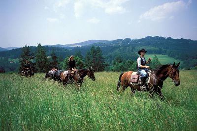 imago50053250h_opt Bildnummer: 50053250 Datum: 15.08.2000 Copyright: imago/Eisend Wanderreiten im Böhmerwald, Personen , Tiere; 2000, Reiten, Reiter, Pferde, Pferd, Freizeit, Aktivitäten, Westernreiten, Westernfans, Urlaub, Reiterurlaub, Reiturlaub, Reiterferien; , quer, Kbdia, Totale, Reise, Westerncamp, Western-Camp, Fotostory, Tschechien, Europa; Aufnahmedatum geschätzt