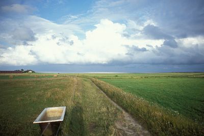 imago50073441h_opt Bildnummer: 50073441 Datum: 15.08.2001 Copyright: imago/Niehoff Badewanne auf einer Wiese, Objekte , Landschaft; Amrum 2001, Nordfriesische Insel, Inseln, Nordfriesland, Nordseeinsel, Nordseeinseln, Badewannen, Wiesen, Weide, Weiden, Tränke, Tiertränke; , quer, Kbdia, Totale, Deutschland, ohne, Reisen, Schleswig-Holstein, Europa; Aufnahmedatum geschätzt