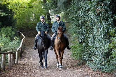 imago53694041h_opt Bildnummer: 53694041 Datum: 27.09.2009 Copyright: imago/Jochen Tack Polizei Reiterstaffel bei einem Streifenritt in einem Waldgebiet, Wanderweg Fotostory Polizei Deutschland Nordrhein Westfalen kbdig xcb 2009 quer Polizei Polizisten Polizeibeamte Beamte Sicherheitskräfte Ordnung Sicherheit innere Sicherheit Uniform Ordnungshüter Pferde Tiere Reiter Polizeipferd Polizeireiter Reiterstaffel Dienstpferd Pferde Tiere staffel Streifenritt Ausritt Einsatz Wald Waldweg Bildnummer 53694041 Date 27 09 2009 Copyright Imago Jochen Tack Police Reiter season at a Streifenritt in a Forest area Footpath Photo Story Police Germany North Rhine Westphalia Kbdig 2009 horizontal Police Policemen Police officers Officials Security forces Order Security internal Security Uniform Rules enforcement Horses Animals Reiter Police horse Police riders Reiter season Service horse Horses Animals Season Streifenritt Horseback Use Forest Forest