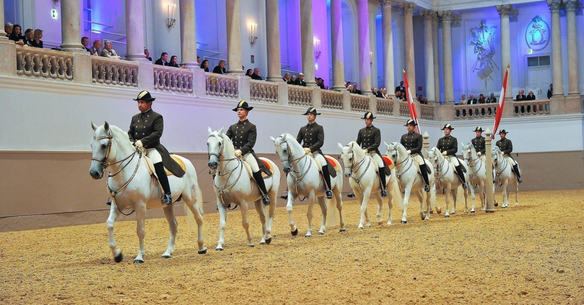 imago56178055h Bildnummer: 56178055 Datum: 13.10.2011 Copyright: imago/Viennareport Bildnummer: 56178055 Datum: 13.10.2011 Copyright: imago/Viennareport Fund Raising Gala in der Spanischen Hofreitschule Fundraising Dinner, Spanische Hofreitschule, Wien, 13.10.2011, Lipizzaner Pferde Vorführung stars x0x Entertainment Benefiz xng 2011 quer premiumd 1Event1 56178055 Date 13 10 2011 Copyright Imago Viennareport Fund Raising Gala in the Spanish Riding School Fundraising Dinner Spanish Riding School Vienna 13 10 2011 Lipizzaners Horses Demonstration Stars x0x Entertainment Benefit xng 2011 horizontal premiumd 1Event1