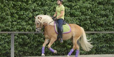 imago60628911h_opt Bildnummer: 60628911 Datum: 08.08.2013 Copyright: imago/Manfred Grebler Junge Dressurreiterin auf Haflinger im Galopp Dressur mit Haflinger Gesellschaft GER Pferd Reitsport xcb x0x 2013 quer model released Symbolfoto 20-25 20-30 Bandagen Dressur Dresurreiten Erwachsen Erwachsene Erwachsener Frau Frauen Galopp galoppieren galoppierend galoppierende galoppierender galoppierendes galoppiert Haflinger Helm Kappe Mensch Menschen Person Personen Pferd Pferde Pferdesport Platz Pony Ponys Reiten Reiter Reiterin Reithelm Reitkappe Reitplatz Reitsport Sandplatz Tier Tiere 60628911 Date 08 08 2013 Copyright Imago Manfred Grebler Boy Dressurreiterin on Haflinger in Gallop Dressage with Haflinger Society ger Horse Horse riding x0x 2013 horizontal Model released Symbolic image 20 25 20 30 Bandages Dressage adult Adults Adult Woman Women Gallop Galoppieren galoppierend Galoppierende Galoppierender Galoppierendes gallops Haflinger Helmet Cap Man People Person People Horse Horses Equestrian sports square Pony Ponies riding Reiter Horsewoman Reithelm Reitkappe Riding Horse riding Clay Animal Animals