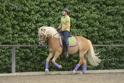 imago60628911h_opt Bildnummer: 60628911 Datum: 08.08.2013 Copyright: imago/Manfred Grebler Junge Dressurreiterin auf Haflinger im Galopp Dressur mit Haflinger Gesellschaft GER Pferd Reitsport xcb x0x 2013 quer model released Symbolfoto 20-25 20-30 Bandagen Dressur Dresurreiten Erwachsen Erwachsene Erwachsener Frau Frauen Galopp galoppieren galoppierend galoppierende galoppierender galoppierendes galoppiert Haflinger Helm Kappe Mensch Menschen Person Personen Pferd Pferde Pferdesport Platz Pony Ponys Reiten Reiter Reiterin Reithelm Reitkappe Reitplatz Reitsport Sandplatz Tier Tiere 60628911 Date 08 08 2013 Copyright Imago Manfred Grebler Boy Dressurreiterin on Haflinger in Gallop Dressage with Haflinger Society ger Horse Horse riding x0x 2013 horizontal Model released Symbolic image 20 25 20 30 Bandages Dressage adult Adults Adult Woman Women Gallop Galoppieren galoppierend Galoppierende Galoppierender Galoppierendes gallops Haflinger Helmet Cap Man People Person People Horse Horses Equestrian sports square Pony Ponies riding Reiter Horsewoman Reithelm Reitkappe Riding Horse riding Clay Animal Animals
