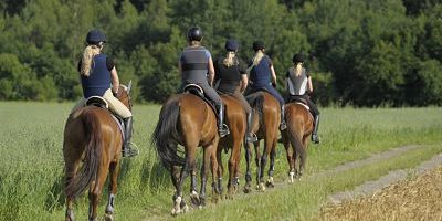 Sicherheit beim Reiten Reiterinnen mit Reithelm und Sicherheitsweste beim Ausritt Ausritt mit Siche Sicherheit beim Reiten: Reiterinnen mit Reithelm und Sicherheitsweste beim Ausritt Ausritt mit Sicherheitsweste Security the riding Riders with Reithelm and Safety vest the Horseback Horseback with Safety vest