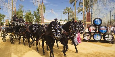 Geschmückte Pferde und Kutscher in Uniform auf der Pferdemesse Feria del Caballo Jerez de la Fronte Geschmückte Pferde und Kutscher in Uniform auf der Pferdemesse Feria del Caballo, Jerez de la Frontera, Provinz Cßdiz, Andalusien, Spanien, Europa ibltdr03895887.jpg decorated Horses and Kutscher in Uniform on the Horse Fair Feria Del Caballo Jerez de La Frontera Province Cßdiz Andalusia Spain Europe ibltdr03895887 JPG