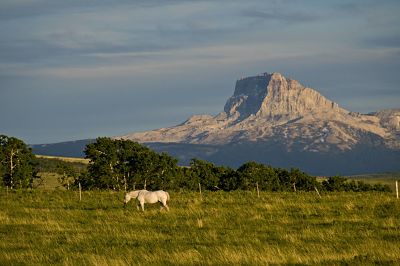 White Horse and Chief Mountain Montana PUBLICATIONxINxGERxSUIxAUTxHUNxONLY acp71196 White Horse and Chief Mountain, Montana PUBLICATIONxINxGERxSUIxAUTxHUNxONLY acp71196 White Horse and Chief Mountain Montana PUBLICATIONxINxGERxSUIxAUTxHUNxONLY acp71196