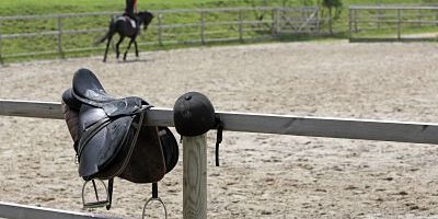 30 05 2014 Oberoderwitz Sachsen GER Symbolfoto Reiten auf dem Reitplatz Pferdehof am Spitzber 30.05.2014, Oberoderwitz, Sachsen, GER - Symbolfoto, Reiten auf dem Reitplatz. Pferdehof am Spitzberg. (Pferd, Frau, Reiten, Pferdesport, Reitsport, Reiterin, Freizeitreiterin, Freizeitsport, Hobbysport, Reitverein, Freizeitreiten, Sport, Breitensport, Amateursport, Warmblueter, Warmblut, reiten, Freizeit, Hobby, Reitstunde, Unterricht, Reitunterricht, erlernen, lernen, Reiten lernen, Reitplatz, Platz, Reiterhof, Reitstall, Ausbildung, Reitausbildung, Reitschueler, Freizeitreiter, Schritt, Symbol, Symbolfoto, symbolisch, Symbolik, Sattel, Reithelm, Reitkappe, Reitschüler, Warmblüter) 660D300514ODERWITZ.JPG GALOPP 30.05.2014, Oberoderwitz, Sachsen, GER - Symbolfoto, Reiten auf dem Reitplatz. Pferdehof am Spitzberg. (Pferd, Frau, Reiten, Pferdesport, Reitsport, Reiterin, Freizeitreiterin, Freizeitsport, Hobbysport, Reitverein, Freizeitreiten, Sport, Breitensport, Amateursport, Warmblueter, Warmblut, reiten, Freizeit, Hobby, Reitstunde, Unterricht, Reitunterricht, erlernen, lernen, Reiten lernen, Reitplatz, Platz, Reiterhof, Reitstall, Ausbildung, Reitausbildung, Reitschueler, Freizeitreiter, Schritt, Symbol, Symbolfoto, symbolisch, Symbolik, Sattel, Reithelm, Reitkappe, Reitschüler, Warmblüter) 660D300514ODERWITZ.JPG GALOPP 30 05 2014 Upper Oderwitz Saxony ger Symbolic image riding on the Riding Horse at Spitzberg Horse Woman riding Equestrian sports Horse riding Horsewoman recreational rider leisure sports Amateur sport Riding club Leisure riding Sports Popular sport Warm-blooded Warm blood riding Leisure Hobby Horse riding Teaching Riding lessons learn Learn riding Learn Riding square Riding Stables Training Equestrian training Leisure riders Step symbol Symbolic image symbolic Symbolism Saddle Reithelm Reitkappe Riding school Warm-blooded JPG Gallop