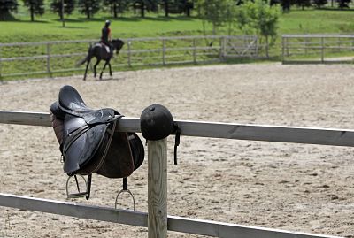 30 05 2014 Oberoderwitz Sachsen GER Symbolfoto Reiten auf dem Reitplatz Pferdehof am Spitzber 30.05.2014, Oberoderwitz, Sachsen, GER - Symbolfoto, Reiten auf dem Reitplatz. Pferdehof am Spitzberg. (Pferd, Frau, Reiten, Pferdesport, Reitsport, Reiterin, Freizeitreiterin, Freizeitsport, Hobbysport, Reitverein, Freizeitreiten, Sport, Breitensport, Amateursport, Warmblueter, Warmblut, reiten, Freizeit, Hobby, Reitstunde, Unterricht, Reitunterricht, erlernen, lernen, Reiten lernen, Reitplatz, Platz, Reiterhof, Reitstall, Ausbildung, Reitausbildung, Reitschueler, Freizeitreiter, Schritt, Symbol, Symbolfoto, symbolisch, Symbolik, Sattel, Reithelm, Reitkappe, Reitschüler, Warmblüter) 660D300514ODERWITZ.JPG GALOPP 30.05.2014, Oberoderwitz, Sachsen, GER - Symbolfoto, Reiten auf dem Reitplatz. Pferdehof am Spitzberg. (Pferd, Frau, Reiten, Pferdesport, Reitsport, Reiterin, Freizeitreiterin, Freizeitsport, Hobbysport, Reitverein, Freizeitreiten, Sport, Breitensport, Amateursport, Warmblueter, Warmblut, reiten, Freizeit, Hobby, Reitstunde, Unterricht, Reitunterricht, erlernen, lernen, Reiten lernen, Reitplatz, Platz, Reiterhof, Reitstall, Ausbildung, Reitausbildung, Reitschueler, Freizeitreiter, Schritt, Symbol, Symbolfoto, symbolisch, Symbolik, Sattel, Reithelm, Reitkappe, Reitschüler, Warmblüter) 660D300514ODERWITZ.JPG GALOPP 30 05 2014 Upper Oderwitz Saxony ger Symbolic image riding on the Riding Horse at Spitzberg Horse Woman riding Equestrian sports Horse riding Horsewoman recreational rider leisure sports Amateur sport Riding club Leisure riding Sports Popular sport Warm-blooded Warm blood riding Leisure Hobby Horse riding Teaching Riding lessons learn Learn riding Learn Riding square Riding Stables Training Equestrian training Leisure riders Step symbol Symbolic image symbolic Symbolism Saddle Reithelm Reitkappe Riding school Warm-blooded JPG Gallop