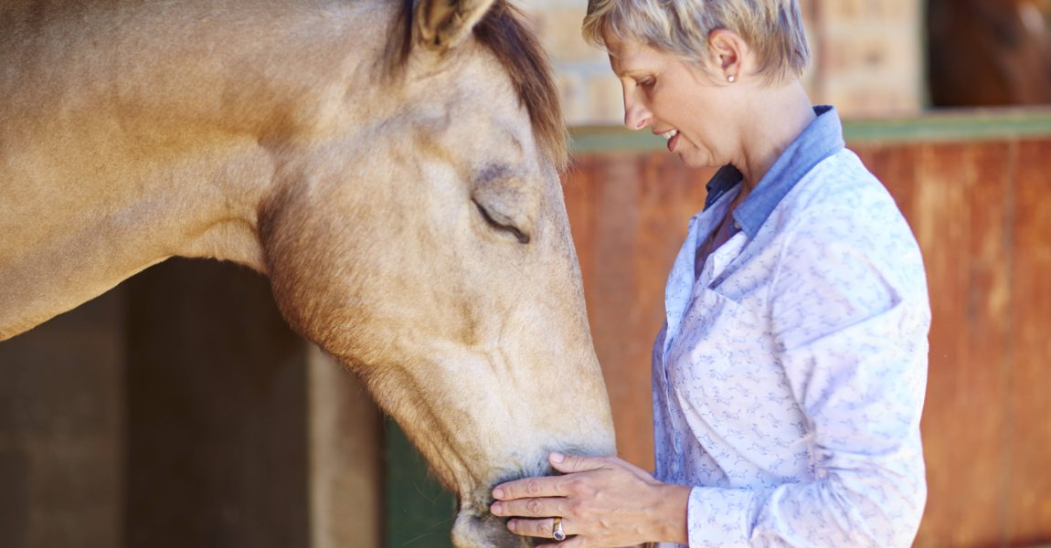 Woman feeding horse with straw model released Symbolfoto property released PUBLICATIONxINxGERxSUIxAU Woman feeding horse with straw model released Symbolfoto property released PUBLICATIONxINxGERxSUIxAUTxHUNxONLY ZEF001770 Woman feeding horse with straw model released Symbolfoto property released PUBLICATIONxINxGERxSUIxAUTxHUNxONLY ZEF001770 Woman Feeding Horse With Straw Model released Symbolic image Property released PUBLICATIONxINxGERxSUIxAUTxHUNxONLY ZEF001770