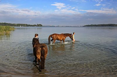 25 07 2015 Schwerin Mecklenburg Vorpommern GER Junge Frauen fuehren ihre Pferde in den Schwerin 25.07.2015, Schwerin, Mecklenburg-Vorpommern, GER - Junge Frauen fuehren ihre Pferde in den Schweriner See hinein. (Pferd, Frauen, Bikini, Jahreszeit, Sommer, Wasser, See, Ufer, Erholung, erholen, Schweriner See, heiss, Hitze, Abkuehlung, abkuehlen, erfrischen, Erfrischung, Pony, planschen, baden, Horizont, Ferne, Weite, abkühlen, Abkühlung) 492D250715SCHWERIN.JPG MR:Y 25.07.2015, Schwerin, Mecklenburg-Vorpommern, GER - Junge Frauen fuehren ihre Pferde in den Schweriner See hinein. (Pferd, Frauen, Bikini, Jahreszeit, Sommer, Wasser, See, Ufer, Erholung, erholen, Schweriner See, heiss, Hitze, Abkuehlung, abkuehlen, erfrischen, Erfrischung, Pony, planschen, baden, Horizont, Ferne, Weite, abkühlen, Abkühlung) 492D250715SCHWERIN.JPG MR:Y 25 07 2015 Schwerin Mecklenburg Western Pomerania ger Boy Women lead theirs Horses in the Schwerin Lake into it Horse Women Bikini Season Summer Water Lake Shore Recreation Relax Schwerin Lake hot Heat Cooling cool refresh Refreshment Pony splashing bath Horizon Distance wideness Cooling Cooling JPG Mr y