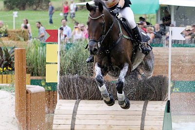 14 08 2015 Aachen Nordrhein Westfalen GER Vielseitigkeitsreiterin Bettina Hoy auf Designer Rei 14.08.2015, Aachen, Nordrhein-Westfalen, GER - Vielseitigkeitsreiterin Bettina Hoy auf Designer. Reitstadion Aachener Soers. (Reiterin, Vielseitigkeitsreiterin, Pferd, Militaryreiterin, Military, Vielseitigkeit, Reitsport, Vielseitigkeitssport, Gelaenderitt, Hoy, Designer, Gel‰nderitt) 707B140815AACHEN.JPG 14.08.2015, Aachen, Nordrhein-Westfalen, GER - Vielseitigkeitsreiterin Bettina Hoy auf Designer. Reitstadion Aachener Soers. (Reiterin, Vielseitigkeitsreiterin, Pferd, Militaryreiterin, Military, Vielseitigkeit, Reitsport, Vielseitigkeitssport, Gelaenderitt, Hoy, Designer, Gel‰nderitt) 707B140815AACHEN.JPG 14 08 2015 Aachen North Rhine Westphalia ger Vielseitigkeitsreiterin Bettina Hoy on Designers Reitstadion Aachen Soers Horsewoman Vielseitigkeitsreiterin Horse Militaryreiterin Military Versatility Horse riding Vielseitigkeitssport Gelaenderitt Hoy Designers Ground ride jpg