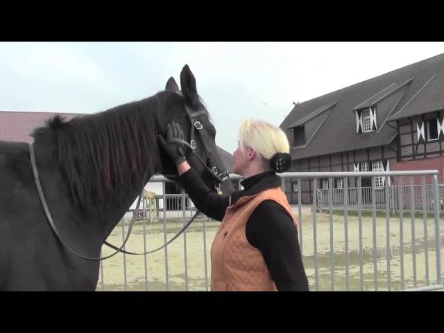 Klassische Handarbeit - YouTube thumbnail 