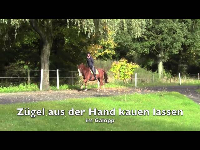 Korrekt Vorwärts-Abwärts-Reiten - YouTube thumbnail 