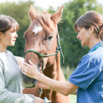 Immunsystem-stärken-Pferd-150x150-dbbfd4731dabd3b742094d080308424f5695c54c Female Vet Examining Horse In Field With Owner