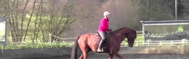Mein Pferd April 2014: Titelgeschichte “Timing der Hilfen” - YouTube thumbnail 